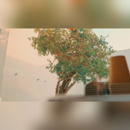 Folding Leafless Neck Fan — USB Rechargeable with 8–12 Hour Battery Life